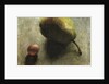 Pear and a Grape by Robert McIntosh