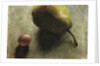 Pear and a Grape by Robert McIntosh