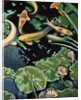 Goldfish Pond by Robert McIntosh