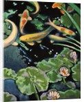Goldfish Pond by Robert McIntosh