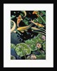 Goldfish Pond by Robert McIntosh