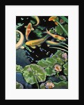 Goldfish Pond by Robert McIntosh