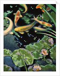 Goldfish Pond by Robert McIntosh