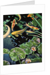 Goldfish Pond by Robert McIntosh