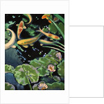 Goldfish Pond by Robert McIntosh