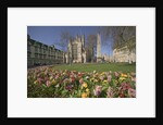Gardens on East Side of Bath Abbey by Anonymous