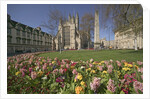 Gardens on East Side of Bath Abbey by Corbis