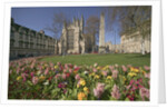 Gardens on East Side of Bath Abbey by Corbis