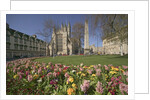 Gardens on East Side of Bath Abbey by Corbis