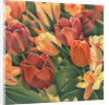 Tulips by Kirsten Soderlind