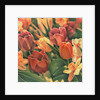 Tulips by Kirsten Soderlind