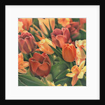 Tulips by Kirsten Soderlind