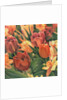 Tulips by Kirsten Soderlind