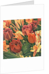 Tulips by Kirsten Soderlind