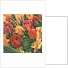 Tulips by Kirsten Soderlind