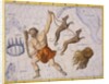 Constellation of Bootes by James Thornhill