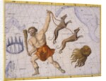 Constellation of Bootes by James Thornhill