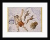 Constellation of Bootes by James Thornhill