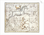 Constellations of Monoceros the Unicorn, Canis Major and Minor from A Celestial Atlas by Alexander Jamieson