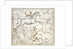 Constellations of Monoceros the Unicorn, Canis Major and Minor from A Celestial Atlas by Alexander Jamieson