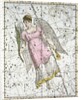 The Constellation Virgo from A Celestial Atlas by Alexander Jamieson