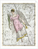 The Constellation Virgo from A Celestial Atlas by Alexander Jamieson