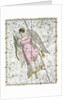 The Constellation Virgo from A Celestial Atlas by Alexander Jamieson