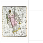 The Constellation Virgo from A Celestial Atlas by Alexander Jamieson