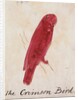 The Crimson Bird by Edward Lear