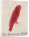 The Crimson Bird by Edward Lear