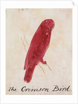 The Crimson Bird by Edward Lear