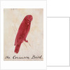 The Crimson Bird by Edward Lear