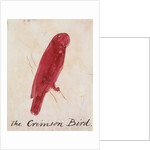 The Crimson Bird by Edward Lear