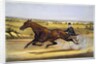 Queen of the Turf, 'Maud S', Driven by W.W. Bair Lithograph by Nicholas Winfield Scott Leighton