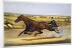 Queen of the Turf, 'Maud S', Driven by W.W. Bair Lithograph by Nicholas Winfield Scott Leighton