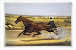 Queen of the Turf, 'Maud S', Driven by W.W. Bair Lithograph by Nicholas Winfield Scott Leighton