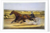 Queen of the Turf, 'Maud S', Driven by W.W. Bair Lithograph by Nicholas Winfield Scott Leighton