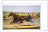 Queen of the Turf, 'Maud S', Driven by W.W. Bair Lithograph by Nicholas Winfield Scott Leighton