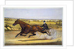Queen of the Turf, 'Maud S', Driven by W.W. Bair Lithograph by Nicholas Winfield Scott Leighton