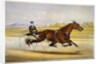 Queen of the Turf, 'Maud S', Driven by W.W. Bair Lithograph by Nicholas Winfield Scott Leighton