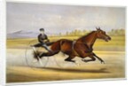 Queen of the Turf, 'Maud S', Driven by W.W. Bair Lithograph by Nicholas Winfield Scott Leighton