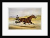 Queen of the Turf, 'Maud S', Driven by W.W. Bair Lithograph by Nicholas Winfield Scott Leighton