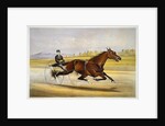 Queen of the Turf, 'Maud S', Driven by W.W. Bair Lithograph by Nicholas Winfield Scott Leighton