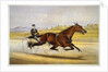 Queen of the Turf, 'Maud S', Driven by W.W. Bair Lithograph by Nicholas Winfield Scott Leighton