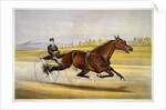 Queen of the Turf, 'Maud S', Driven by W.W. Bair Lithograph by Nicholas Winfield Scott Leighton