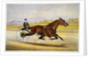 Queen of the Turf, 'Maud S', Driven by W.W. Bair Lithograph by Nicholas Winfield Scott Leighton