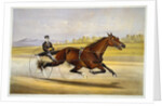 Queen of the Turf, 'Maud S', Driven by W.W. Bair Lithograph by Nicholas Winfield Scott Leighton