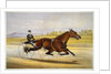 Queen of the Turf, 'Maud S', Driven by W.W. Bair Lithograph by Nicholas Winfield Scott Leighton
