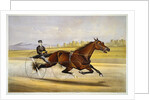 Queen of the Turf, 'Maud S', Driven by W.W. Bair Lithograph by Nicholas Winfield Scott Leighton