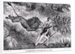 Livingstone Attacked by a Lion by Anonymous